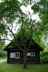Fototapeta na wymiar Ländliches altes Holzbohlen Haus mit Fensterläden, Spreewald, Brandenburg