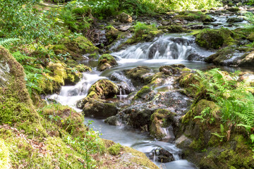Fototapeta na wymiar Dulgoch Falls in Wales