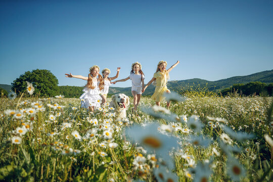 Children in nature. The girls play fun. High quality photo