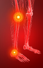 3d rendering lymphatic system visible leg