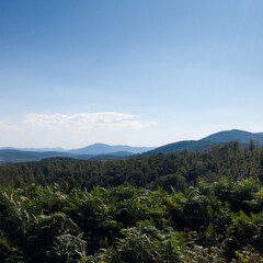 Obraz premium Hilly landscape of Manjaca mountain overgrown with forests near Banja Luka, Bosnia and Herzegovina