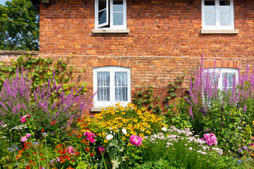 Fototapeta na wymiar Cottage garden perfection-beautiful old cottage with old fashioned garden full of mixed brightly coloured summer flowers a perfect setting in rural UK