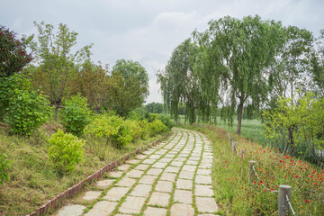 Stone brick ground path in the park street
