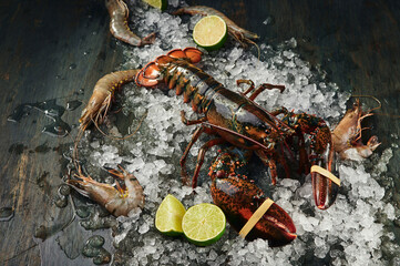 Fresh raw lobster on ice on dark textured background. Space for text. High quality photo