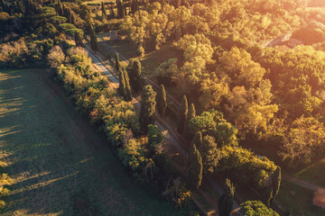 Via Appia Antica ancient stone road in Rome among green meadows and trees, Italy. Aerial view of European nature landscape.