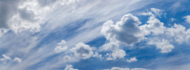 Fototapeta premium Sky with cirrus and cumulus clouds and flying birds