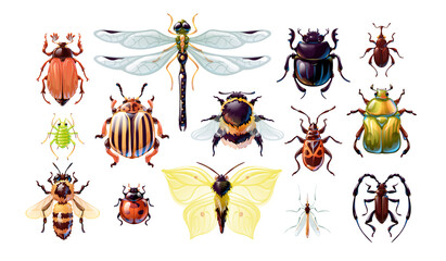 Set of cute cartoon bugs, vector illustartion