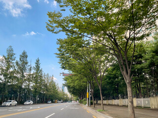 empty road in the city