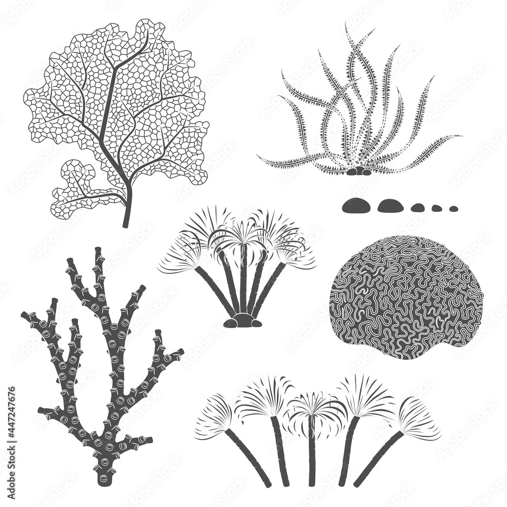 Poster set of black and white illustrations with corals and algae. isolated vector objects on a white backg