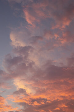 待ち受け画像 Images Browse 463 Stock Photos Vectors And Video Adobe Stock