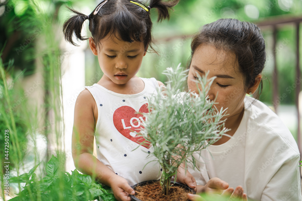 Wall mural Small girl helping her mother planting rosemary in plant pot.