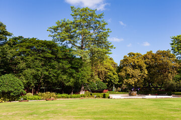 Fototapeta na wymiar City park,Scenic View Of Trees On Grassland At Park.