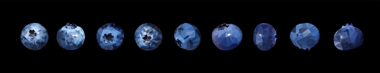 Vector set of Blueberries tasty and delicious isolated on black. Low poly triangular nine berries in a geometric style. 