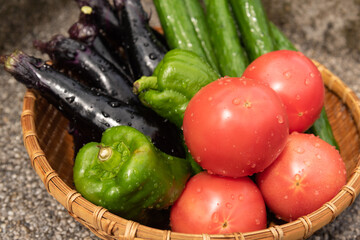 夏野菜　盛り合わせ