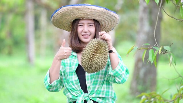 Young woman showing thumbs up in the durian farm. Asian women showing Monthong durian in the durian garden. Chanthaburi, Thailand