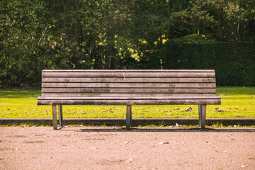 Alone and lonely concept, Outdoor park with empty bench with soft sunlight in the afternoon, Wooden chair with green meadow and tree fence as backdrop, Autumn in Amsterdam, Netherlands.