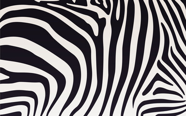 Fototapeta na wymiar Zebra print texture with black and white stripes. Vector illustration