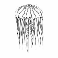 Sea jellyfish, black outline, coloring, vector illustration