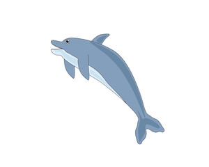 dolphin illustration