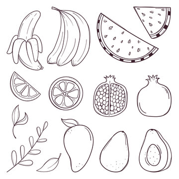Hand drawn fruits and berries set
