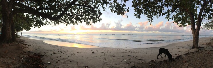 Bahia Beach Brazil