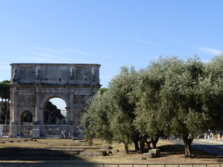 Fototapeta na wymiar Roma, Italia. Con sus innumerables monumentos.