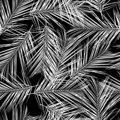 Fashionable seamless tropical pattern with black white tropical palm leaves on a black background. Beautiful exotic plants. Trendy summer Hawaii print. Line stylish floral.