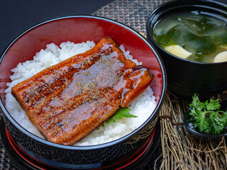 Japanese eel grilled with rice bowl or Unagi don - Japanese food style.