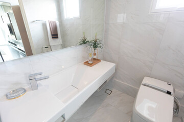 Fototapeta na wymiar Modern white marble sink and lavatory in a luxurious bathroom.