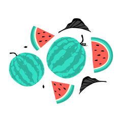 Watermelon Cartoon Icon Set Vector Design