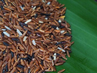 Red Jasmine Rice Jasmine Rice for eating 