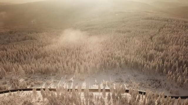 Dlog Drone view of the Feldberg Taunus Schmitten area during a cold winter day. Trees covered in snow and ice. Forrest in snow. Filmed during sunrise. Snow is wonderfully coloured in orange and red.