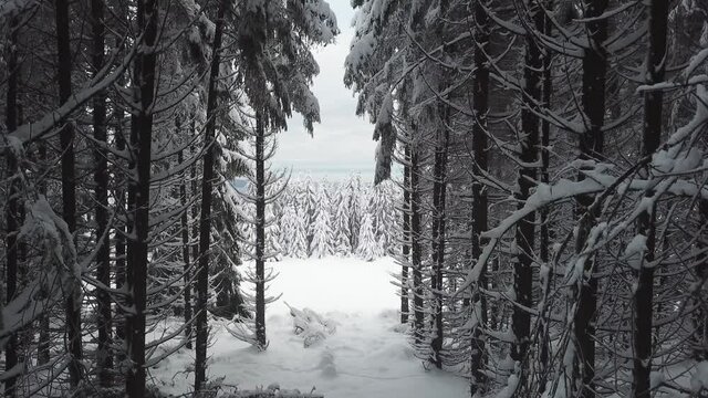 Dlog Drone view of the Feldberg Taunus Schmitten area during a cold winter day. Trees covered in snow and ice. Forrest in snow.