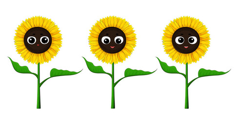 Sunflower isolated on white. Fun  sunflower cartoon character collection. Cute baby flower smiling. Sunflower plant for kids. Happy kawaii style flower icon set. Sunflower vector.  Close up.