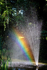 Sprenger mit Regenbogen im Gartenteich