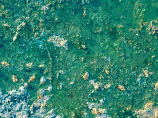 Green water. Polluted water with algae. Flowering water as background or texture