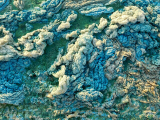 abstract background. Blue-green algae on the surface of the water. 