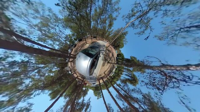 Driving car between high trees of Antalya Konyaalti as 360 degree tiny planet effect