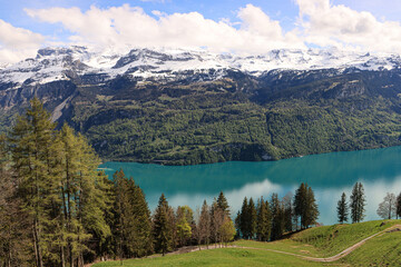 Fototapeta na wymiar Zauberhafte Schweizer Bergwelt; Brienzersee mit Axalphorn (Berner Oberland)