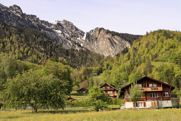 Fototapeta na wymiar Schweizer Alpenidylle; Brienz (Dorf) und Rothorn (Dirrengrind) im Berner Oberland