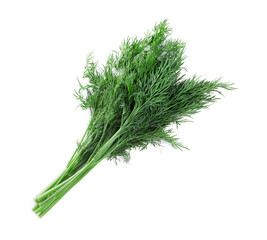 Bunch of fresh dill on white background, top view