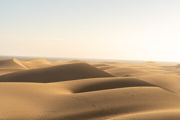 Fototapeta na wymiar sun reflection on desert sand