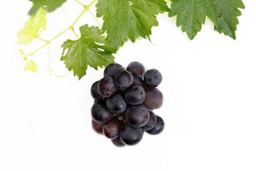 Close up of fresh grapes fruit isolated on white background