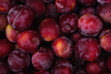 Plums background. Ripe organic fruits on the market, colorful food texture. Top view, flat lay