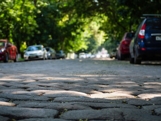 An alley lined with paving stones along which there are cars and a green crown of trees hangs from above. Low depth of field unfocused background