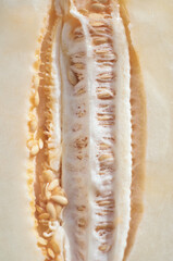 Middle of melon with seeds close-up. Soft light