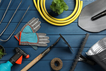 Flat lay composition with gardening tools and green plants on blue wooden background