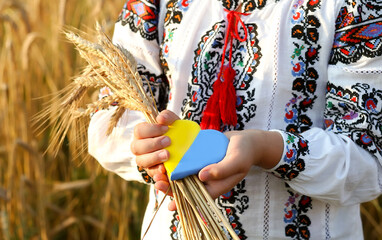 Ukrainian heart carried by a girl. A yellow and blue heart and spikelets of wheat in the hands of a child in an embroidered shirt vyshyvanka. Independence day of Ukraine, Constitution, Flag