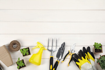Gardening tools and plants on white wooden background. flat lay. Space for text
