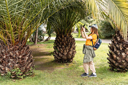 young smiling woman tourist in cap yellow t-shirt with backpack taking photo on smartphone of tropical plant palm tree cicas in botanical park travel using modern technology
